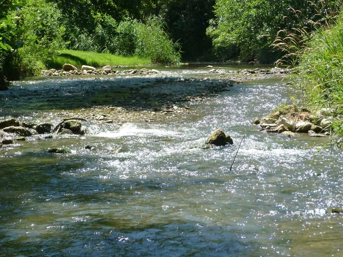 Au Reve Chatoyant Bed & Breakfast Souspierre France